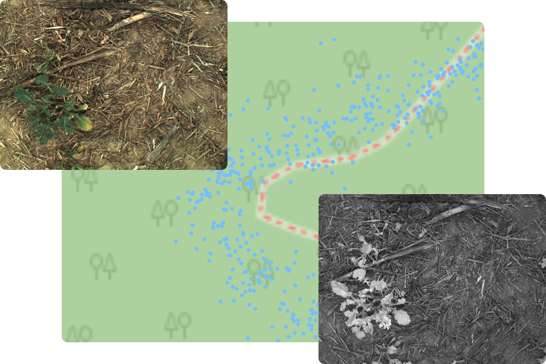 Connecting to agriculture robotics data in Foxglove